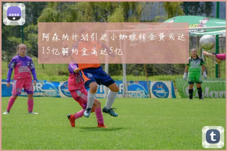 阿森纳计划引进小蜘蛛转会费或达15亿解约金高达5亿