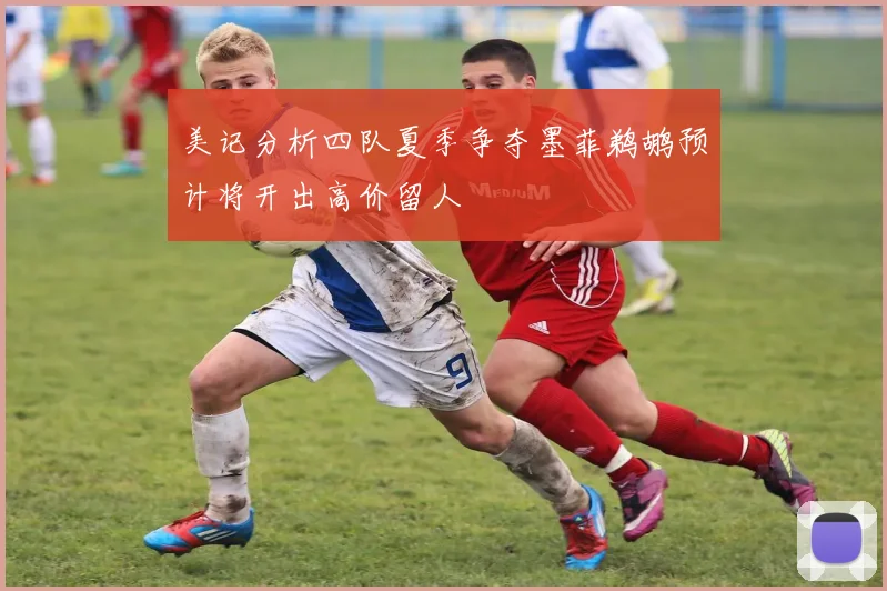 美记分析四队夏季争夺墨菲鹈鹕预计将开出高价留人